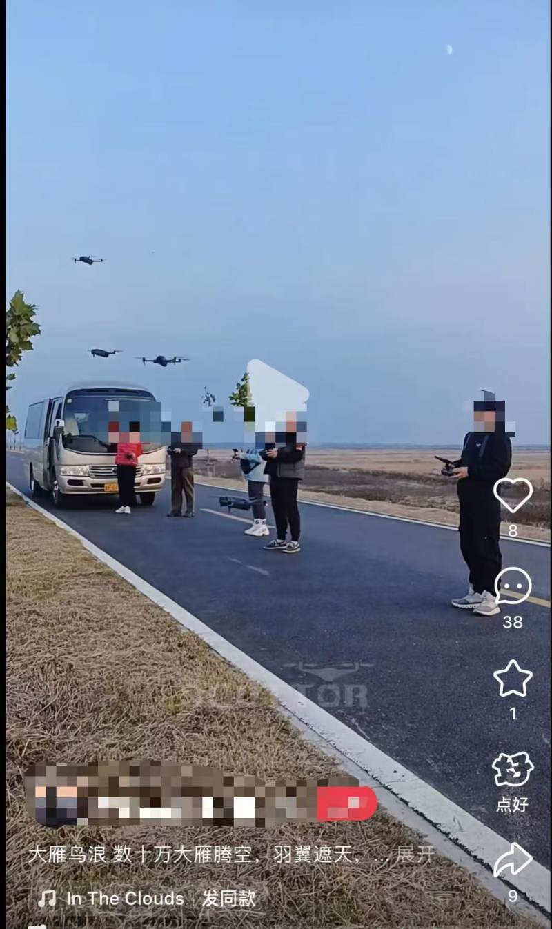 无人机低飞观鸟撞死大雁民警回应