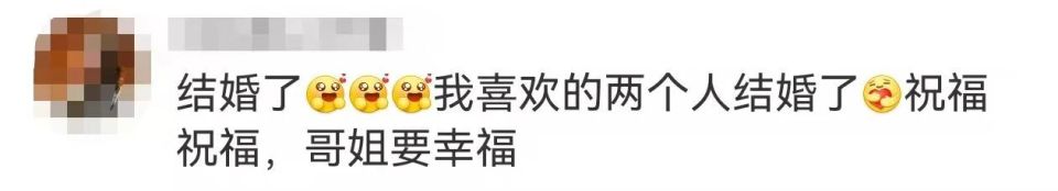 王紫璇李鸿其官宣结婚