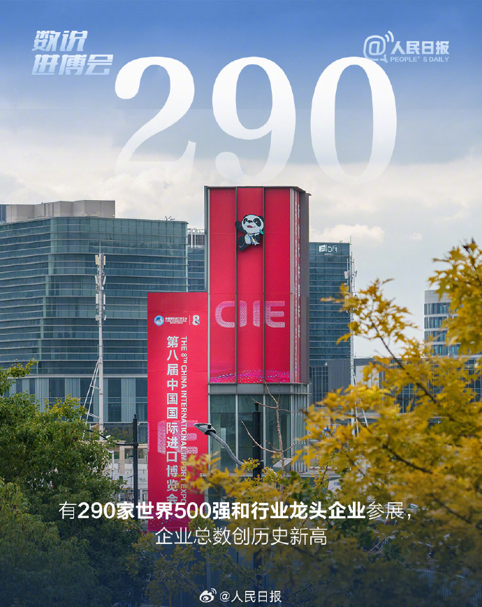 9组数字速览第八届进博会