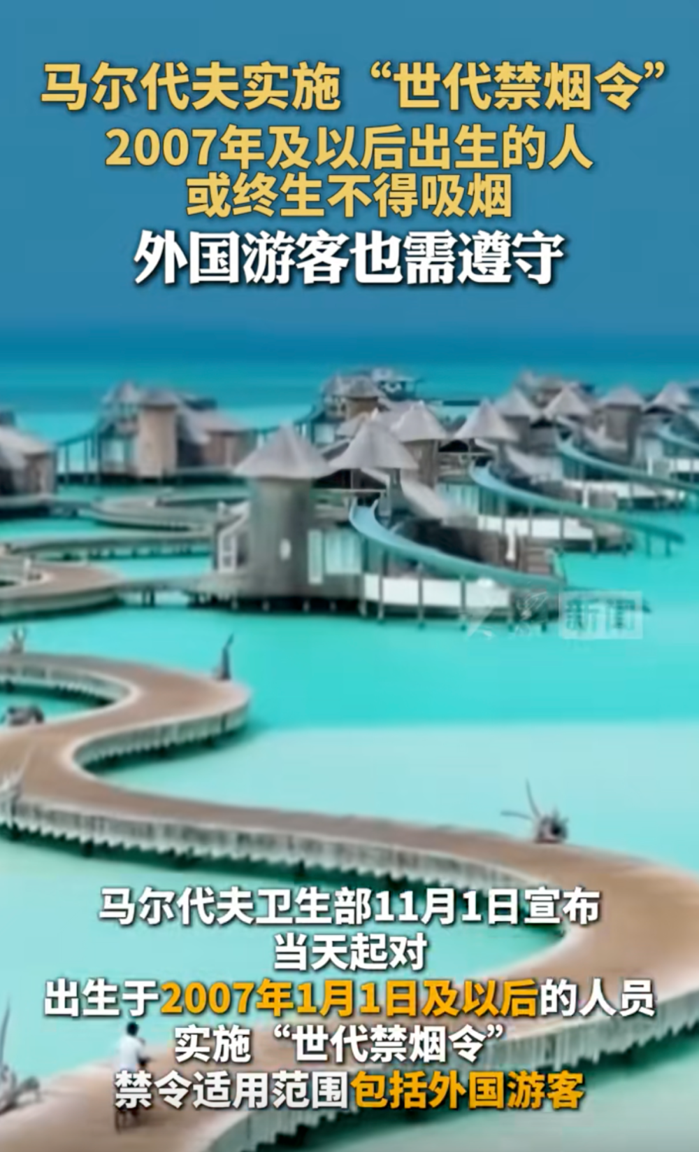 《今日说法》主持人被骗1000元买茶叶