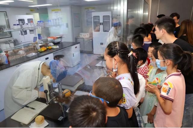 发明固体杨枝甘露的人是天才