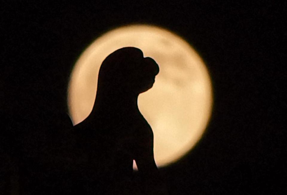 超级月亮惊艳大图