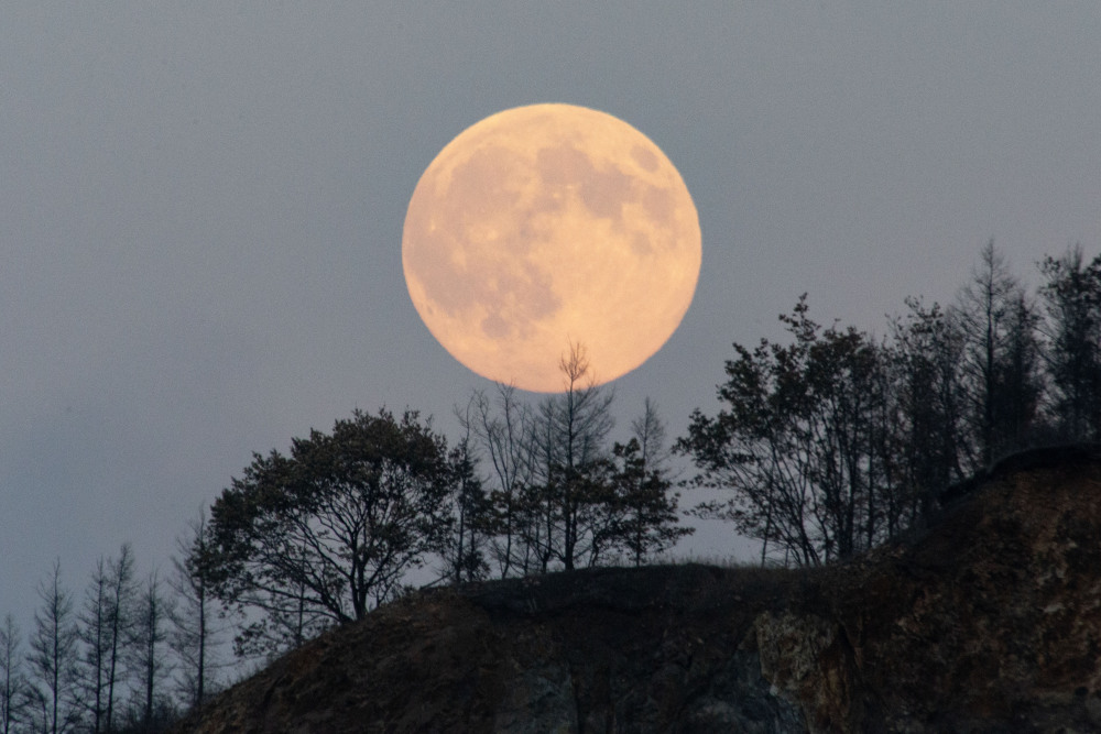 #晒晒你拍的超级大月亮#