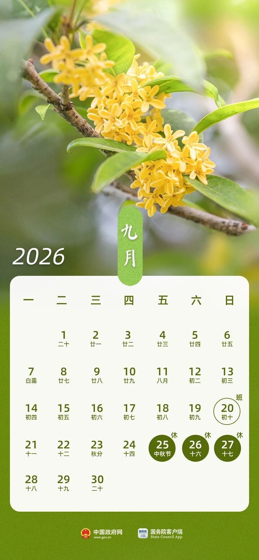专家解读为何春节放9天