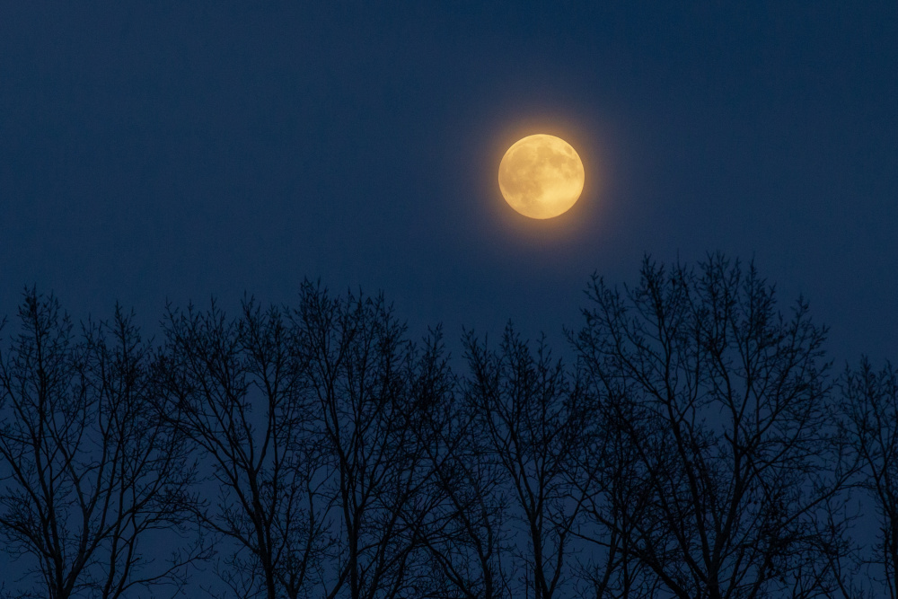 #晒晒你拍的超级大月亮#
