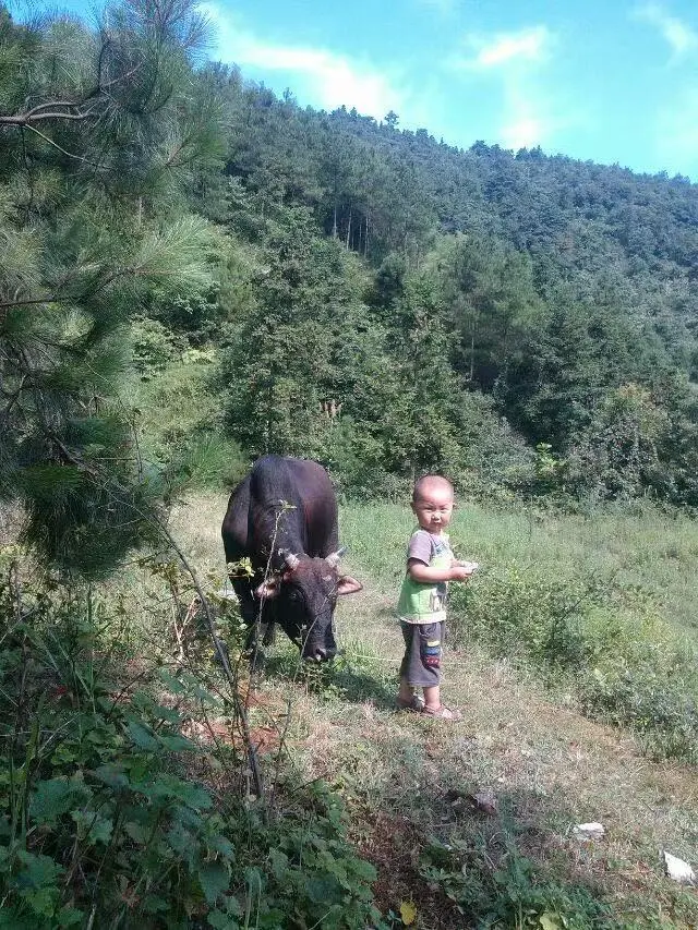 14岁初中生作文看哭全网本人回应
