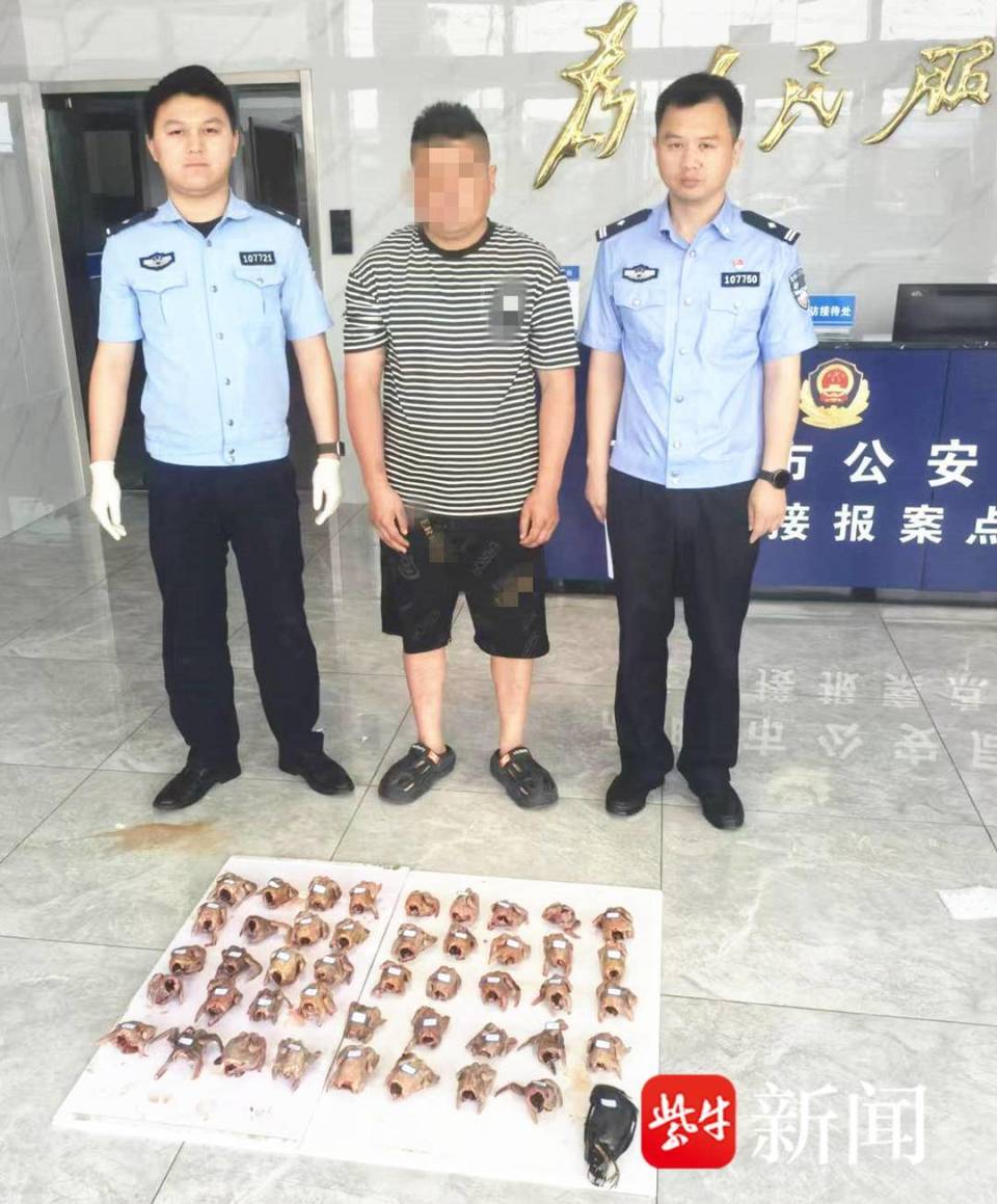 男子每天下班弹弓打鸟涉刑事犯罪