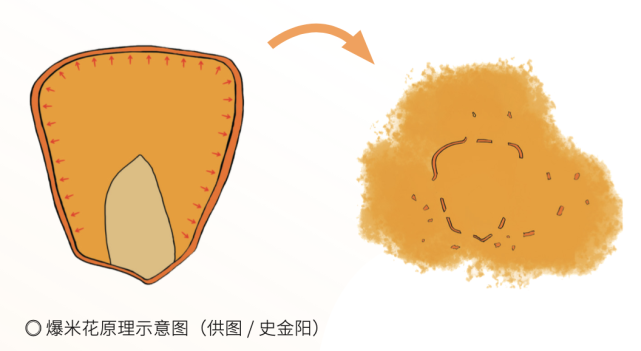 广西男子自制“炮米花”