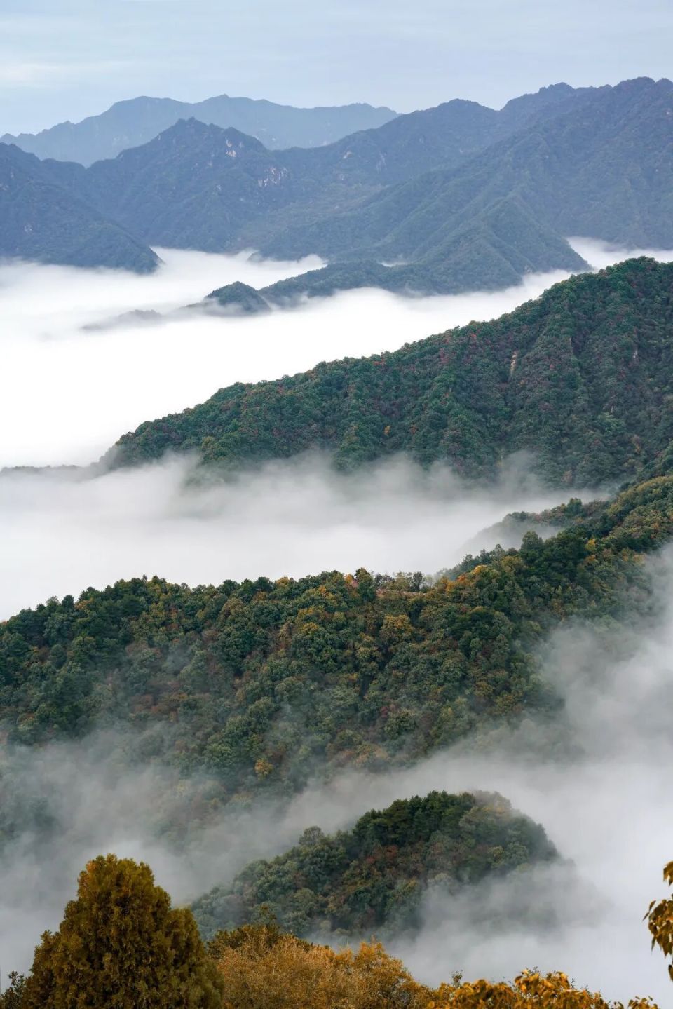 中国人连睡觉都有浪漫感