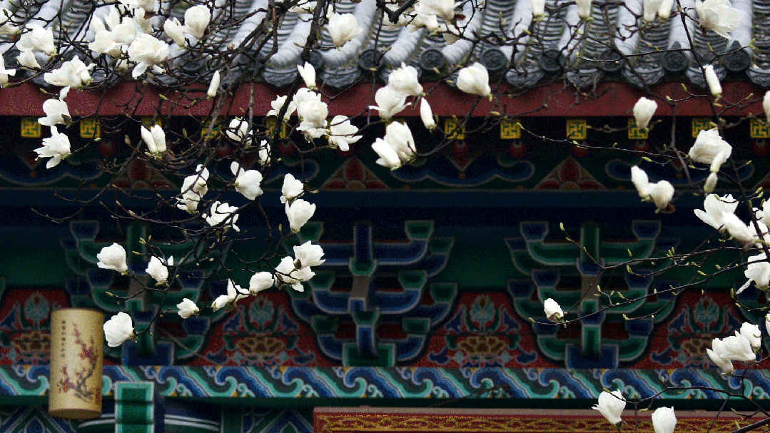 中国人连睡觉都有浪漫感