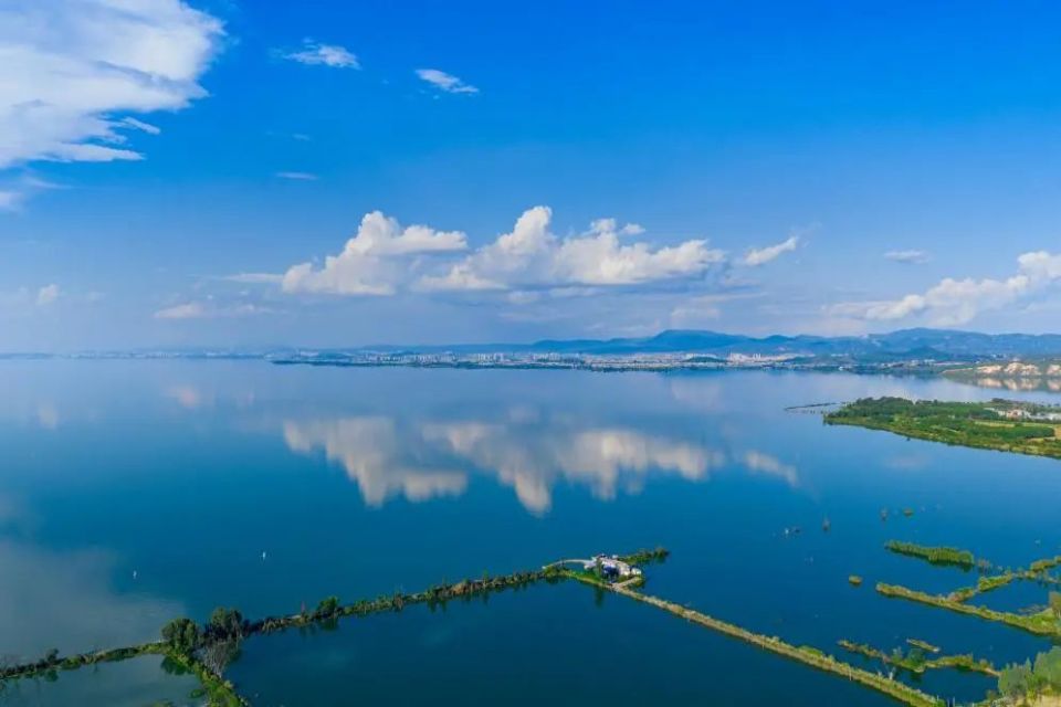 “大鱼海棠”具象化了