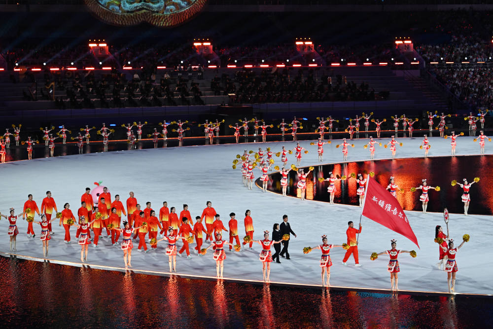 全运会开幕式有“广东特产”狮头鹅