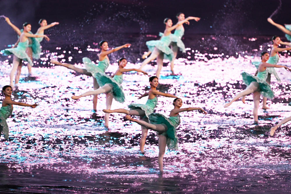 全运会开幕式有“广东特产”狮头鹅