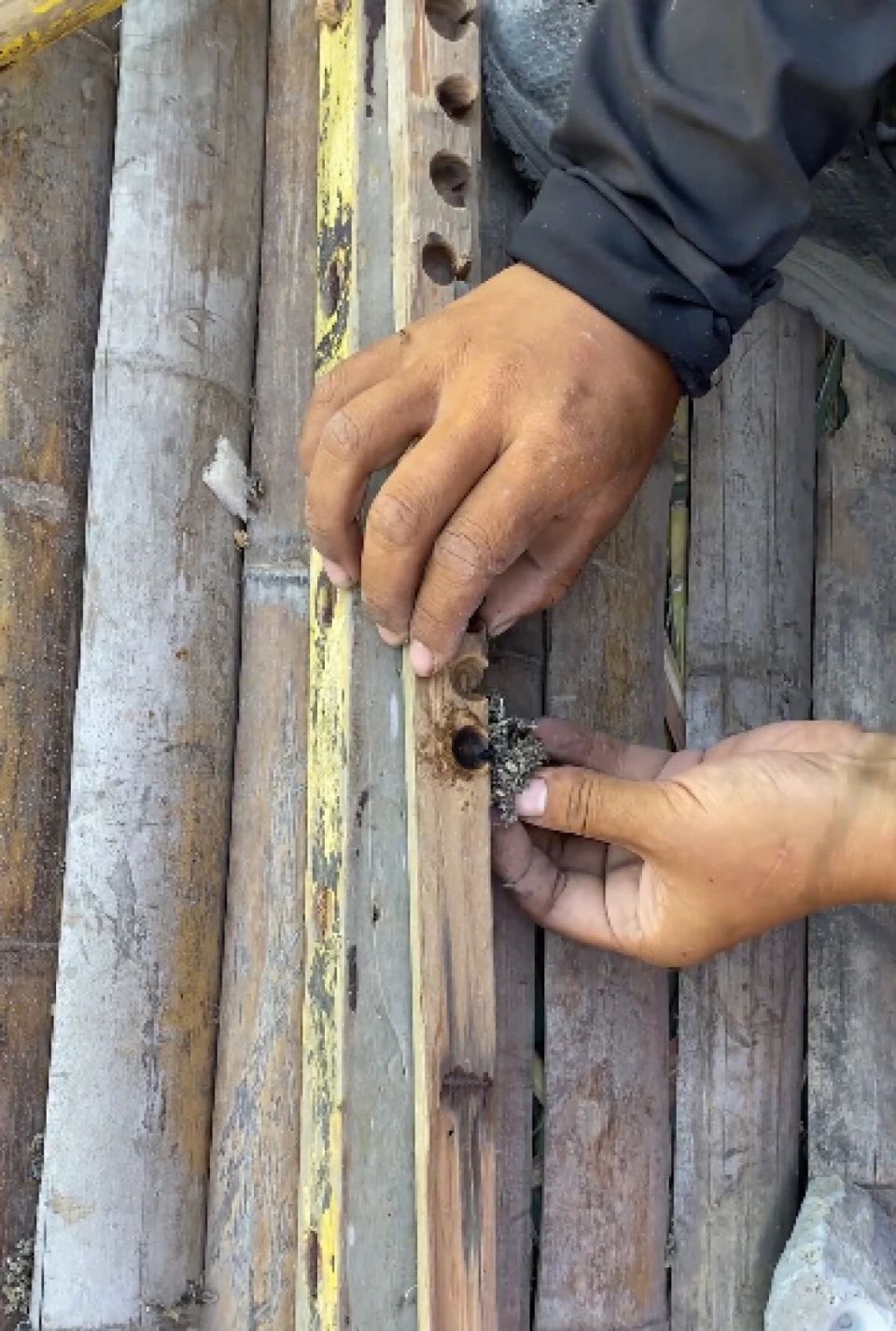 女子为减肥参加海岛求生35天减28斤