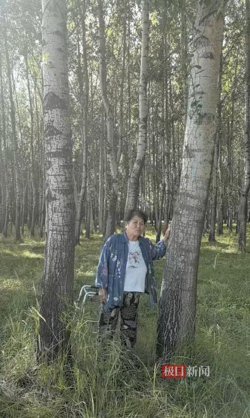 农户响应号召种树成材后被禁止采伐