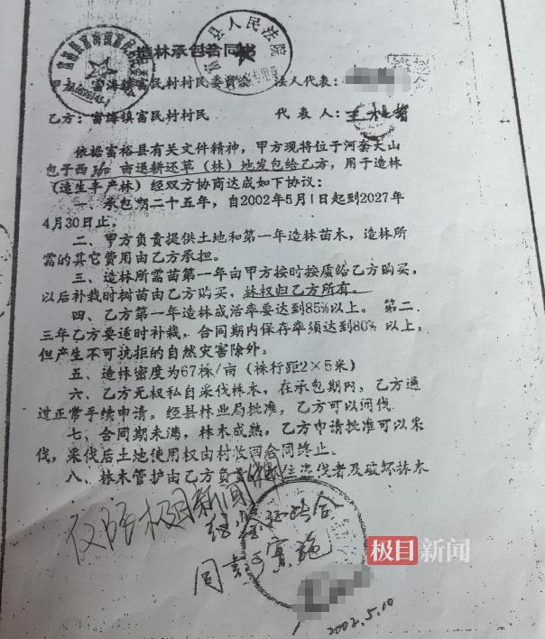 农户响应号召种树成材后被禁止采伐