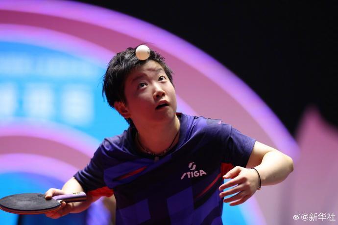 孙颖莎4-0横扫刘斐晋级4强