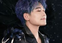 苏醒坦言水平一般已基本放弃写歌