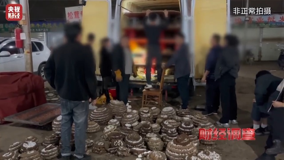 央视曝光6666元包教包会养杀人蜂