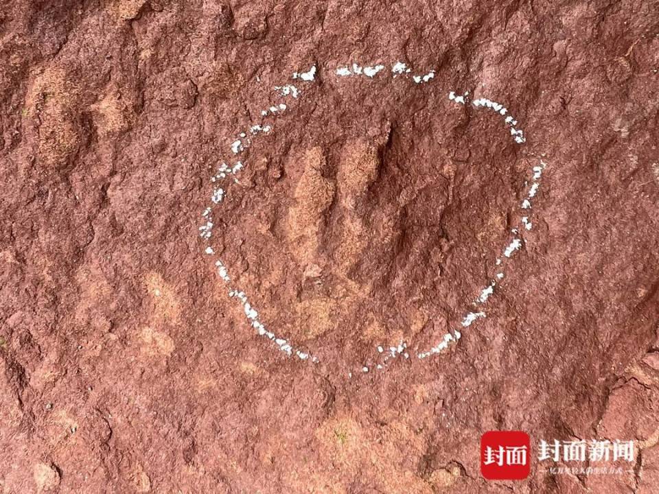 四川古蔺惊现“恐龙王国”