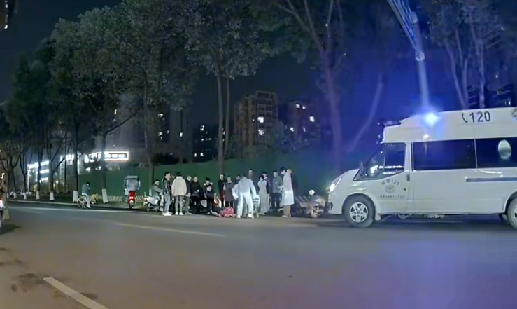 女子被未拴宠物狗绊倒已做开颅手术