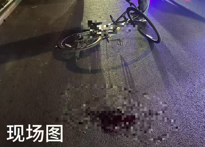 女子被未拴宠物狗绊倒已做开颅手术