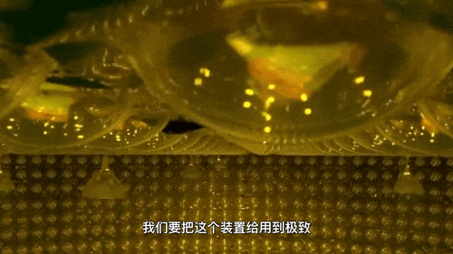 科学家在地下700米捉“鬼”