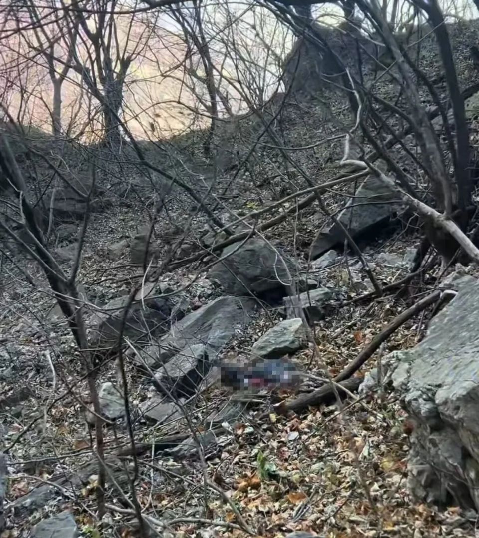 南太行失联43天男子遗体被找到