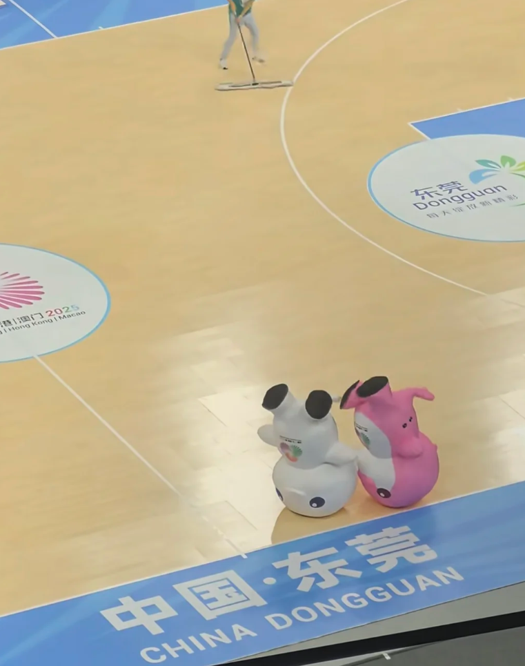 踩水的“大湾鸡”找到了