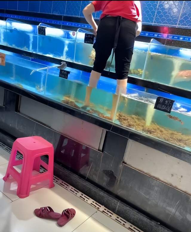 女子光脚踩水族箱擦玻璃超市回应