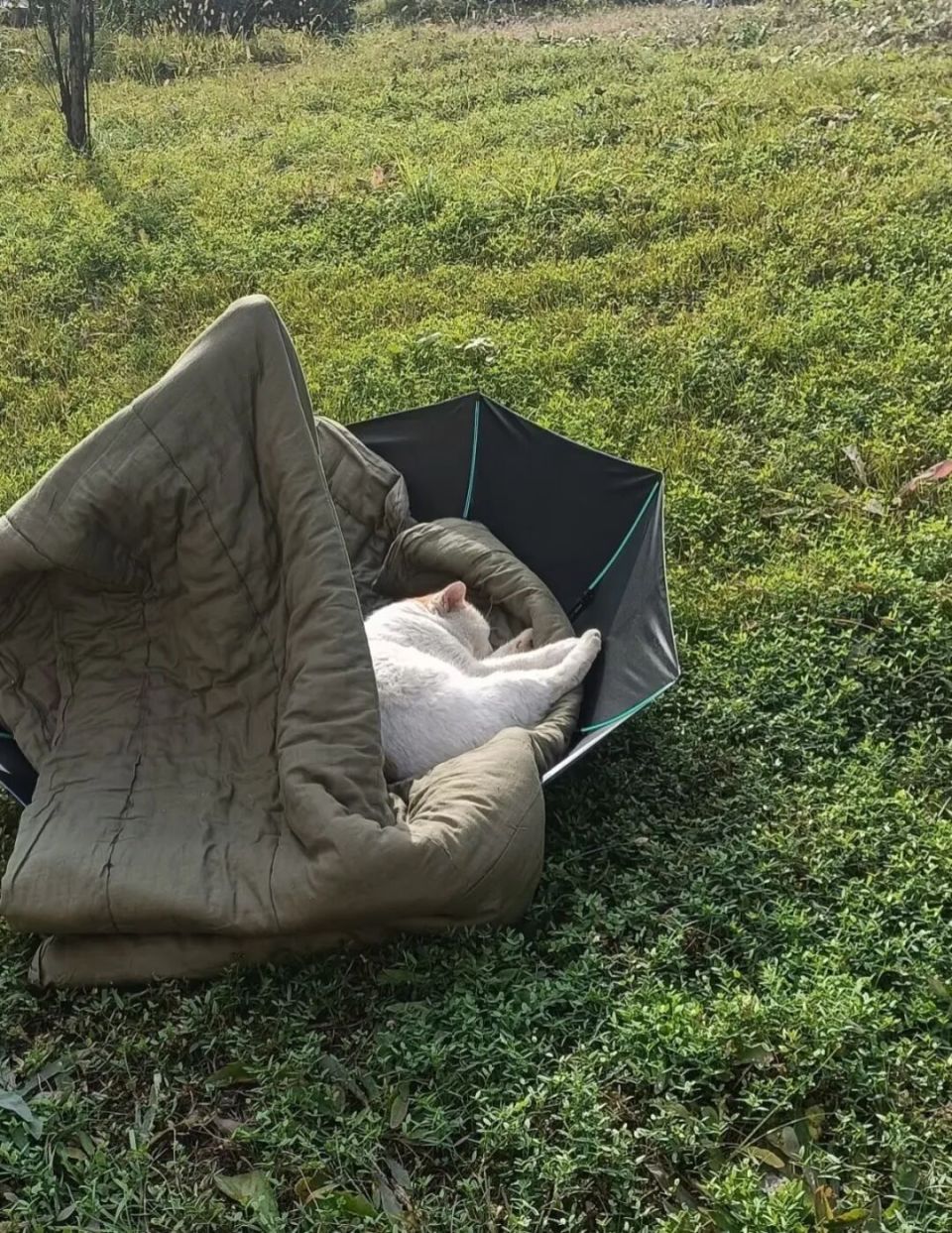 “论中国小孩对晒被子的执念”