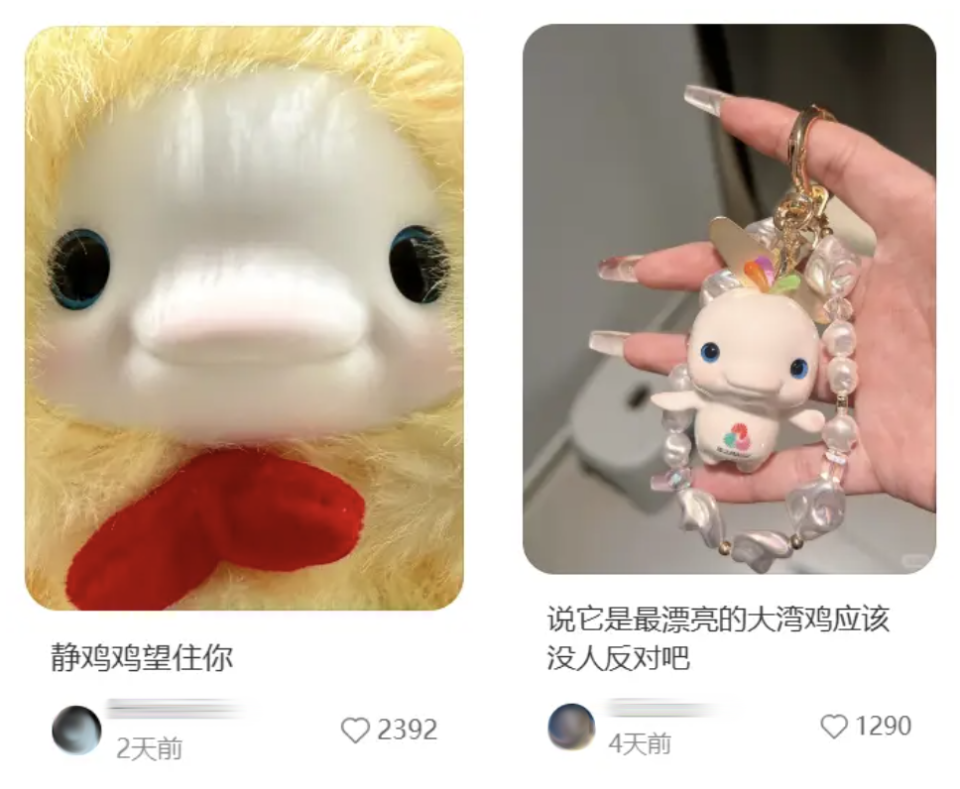 踩水的“大湾鸡”找到了