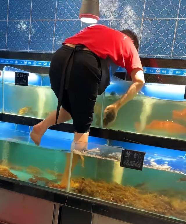 女子光脚踩水族箱擦玻璃超市回应
