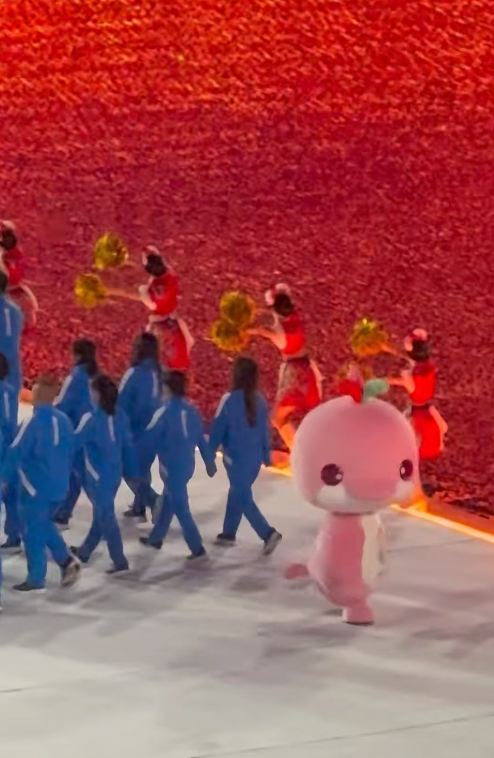 踩水的“大湾鸡”找到了