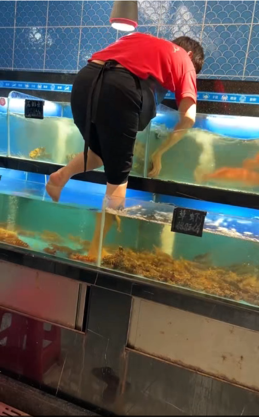 女子光脚踩水族箱擦玻璃超市回应