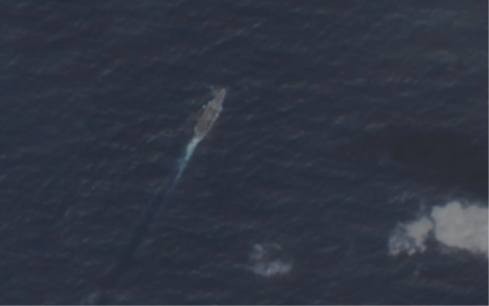 美国两航母同日在南海一进一出