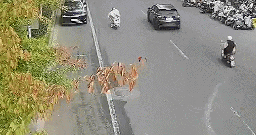 求求你别再用电动车“挡风被”了