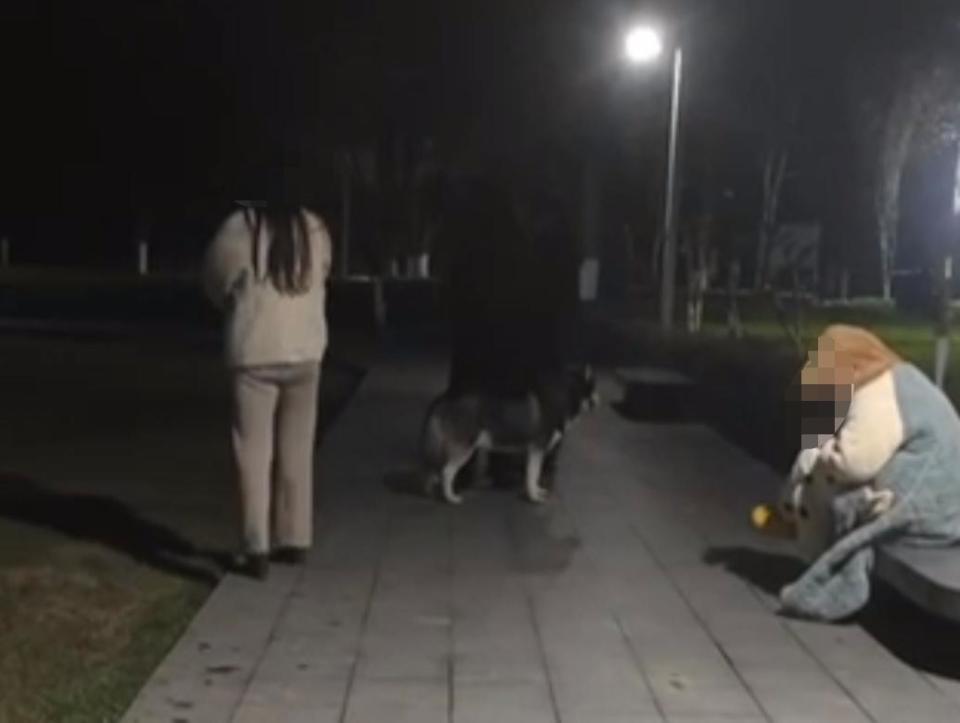 男子因质问遛狗不牵绳被打案二审