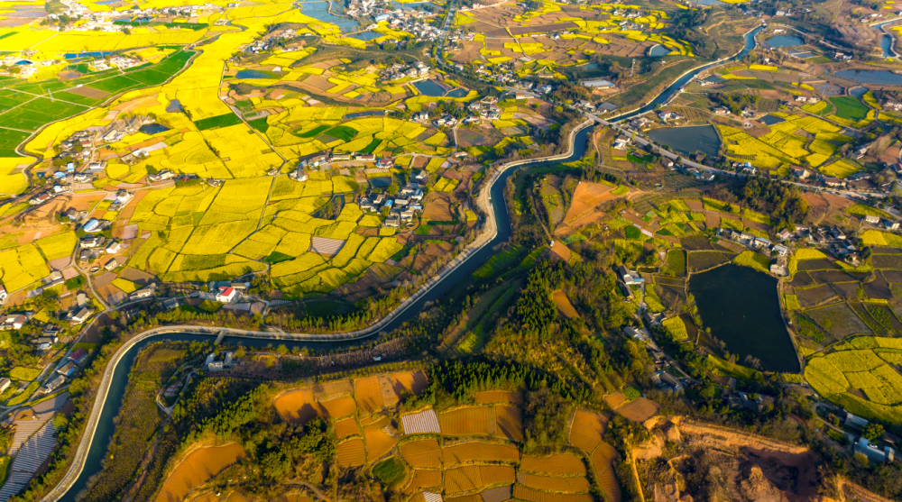 在都江堰感受中国“治”慧