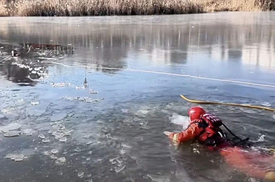 學校爲爬冰救人的女孩申報見義勇爲