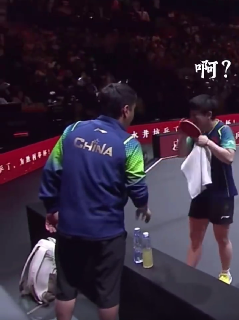 邱贻可说孙颖莎场上很拼场下很可爱