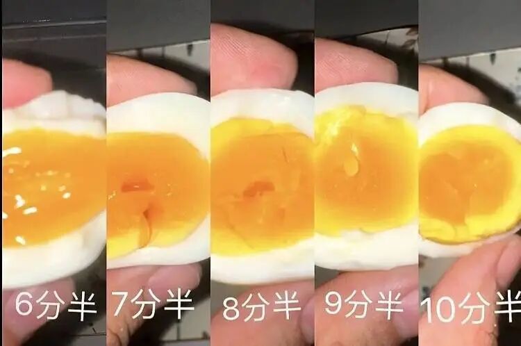 对话8天涨粉370万鸡蛋博主