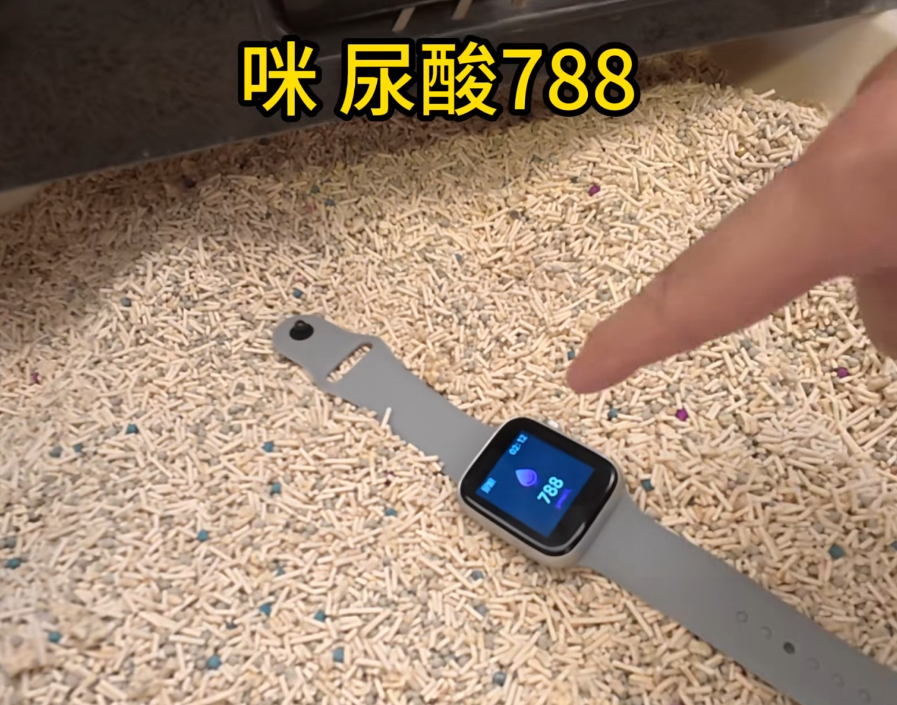 84元网购手表测出吸尘器血糖7.4