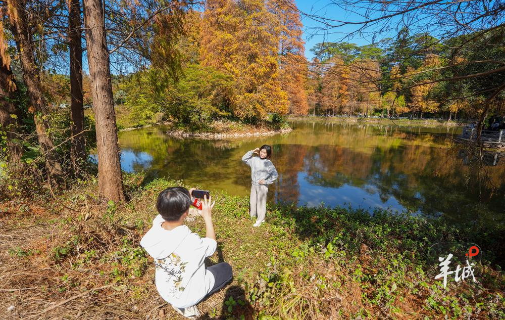 广东的冷要把老外逼疯了