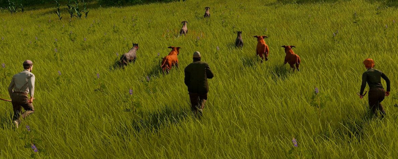 滞困异星黎明感受器怎么设置？一篇讲人话的实用指引