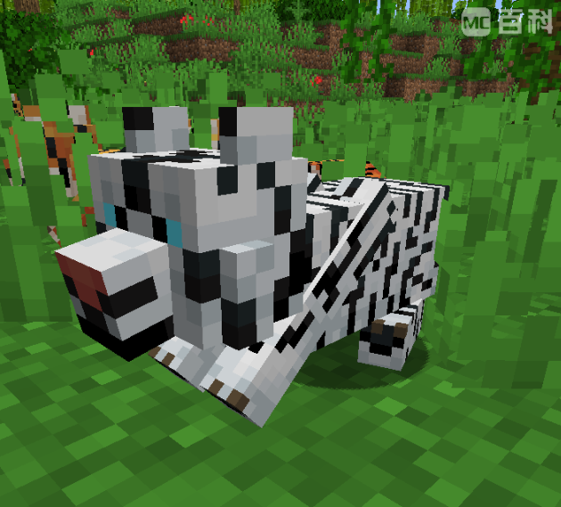 《我的世界》里，Alex的“老虎”到底在哪？