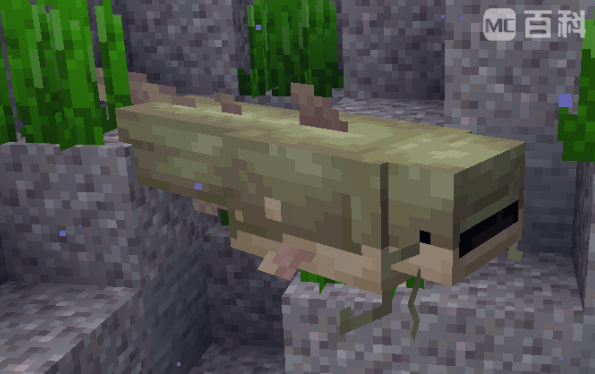 《我的世界Alex生物鲶鱼在哪？一篇说人话的定位指南》