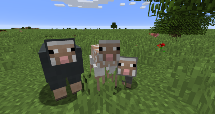 我的世界里养羊这件小事，说细也挺有讲究的