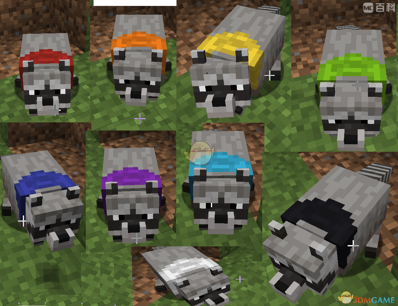 我的世界浣熊在哪出现？Alex生物相关内容一并聊聊