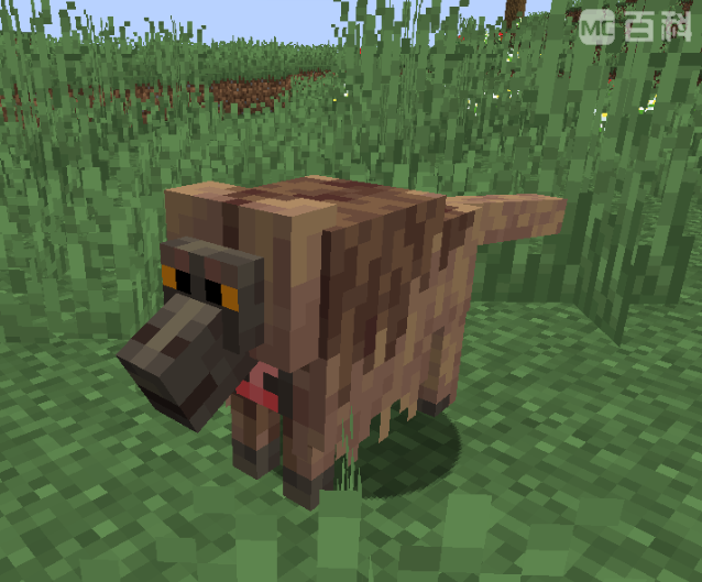 《〈我的世界〉Alex 的狮尾狒狒在哪？一句话说清楚》